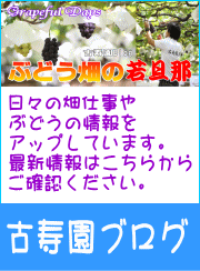 山梨・勝沼ぶどう狩りの古寿園のブログ