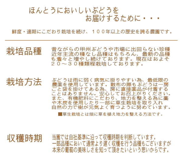 �������͔|