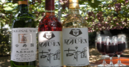 山梨勝沼ぶどう狩り園古寿園のオリジナルワインの紹介